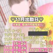 ヒメ日記 2025/11/08 23:52 投稿 ひまわり 三つ乱本館