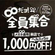 ヒメ日記 2025/11/11 13:37 投稿 ひまわり 三つ乱本館