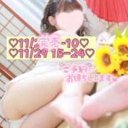 ヒメ日記 2025/11/26 23:47 投稿 ひまわり 三つ乱本館