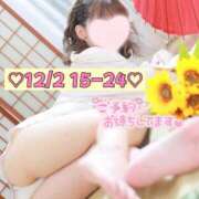 ヒメ日記 2025/12/01 23:57 投稿 ひまわり 三つ乱本館