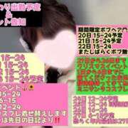 ヒメ日記 2025/12/09 08:17 投稿 ひまわり 三つ乱本館