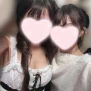 ヒメ日記 2025/12/18 15:17 投稿 ひまわり 三つ乱本館