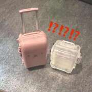 ヒメ日記 2026/01/03 14:42 投稿 ひまわり 三つ乱本館