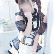 ヒメ日記 2026/01/26 13:31 投稿 ひまわり 三つ乱本館