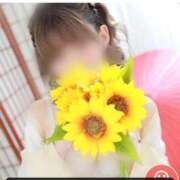 ヒメ日記 2026/02/01 16:37 投稿 ひまわり 三つ乱本館