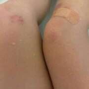 ヒメ日記 2026/02/09 01:17 投稿 ひまわり 三つ乱本館