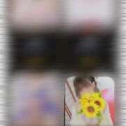 ヒメ日記 2026/02/23 16:47 投稿 ひまわり 三つ乱本館