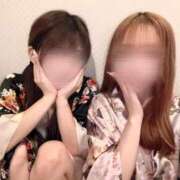 ヒメ日記 2026/02/26 16:57 投稿 ひまわり 三つ乱本館