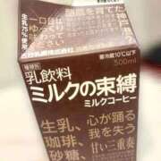 ヒメ日記 2026/03/09 12:07 投稿 ひまわり 三つ乱本館