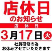 ヒメ日記 2026/03/17 11:57 投稿 ひまわり 三つ乱本館