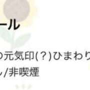 ヒメ日記 2026/03/30 15:07 投稿 ひまわり 三つ乱本館