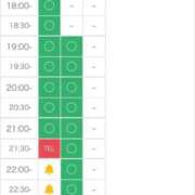 ヒメ日記 2026/04/09 08:57 投稿 ひまわり 三つ乱本館