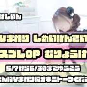 ヒメ日記 2026/04/17 12:07 投稿 ひまわり 三つ乱本館