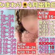 ひまわり 4月後半✨ 三つ乱本館