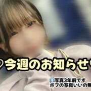 ヒメ日記 2026/06/01 12:07 投稿 ひまわり 三つ乱本館