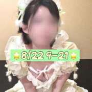 ヒメ日記 2026/08/21 23:57 投稿 ひまわり 三つ乱本館