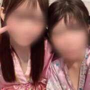 ひまわり 恒例のことひまさん 三つ乱本館