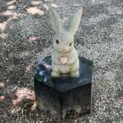 ヒメ日記 2025/10/09 17:01 投稿 てぃな☆ CLUB PIAA