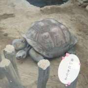 みちは お昼過ぎから空きあり🐢 全裸のいいなり美女OR満員ちかん電車