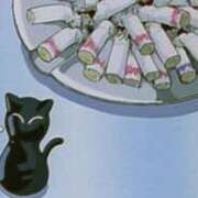 ヒメ日記 2025/10/30 00:28 投稿 きょうか 白いぽっちゃりさん仙台店