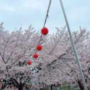 ヒメ日記 2026/04/10 17:45 投稿 きょうか 白いぽっちゃりさん仙台店