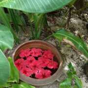 ヒメ日記 2026/04/03 15:10 投稿 ななこ もしも素敵な妻が指輪をはずしたら・・・