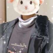 ヒメ日記 2025/11/24 10:55 投稿 宮崎まな なめこ治療院（横浜ハレ系）