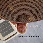 ヒメ日記 2025/12/23 11:46 投稿 宮崎まな なめこ治療院（横浜ハレ系）