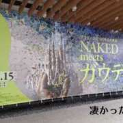 ヒメ日記 2026/03/14 08:25 投稿 宮崎まな なめこ治療院（横浜ハレ系）