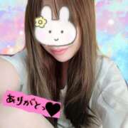 ヒメ日記 2025/05/28 13:50 投稿 ゆめか 桜フェアリーテイル