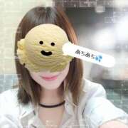 ヒメ日記 2025/06/17 15:22 投稿 ゆめか 桜フェアリーテイル