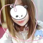 ヒメ日記 2025/09/15 15:07 投稿 ゆめか 桜フェアリーテイル