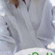 ヒメ日記 2025/11/15 15:13 投稿 ゆめか 桜フェアリーテイル