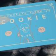 ヒメ日記 2025/12/24 13:13 投稿 ゆめか 桜フェアリーテイル