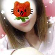 ヒメ日記 2026/03/08 15:44 投稿 ゆめか 桜フェアリーテイル