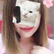 ヒメ日記 2026/03/11 15:39 投稿 ゆめか 桜フェアリーテイル