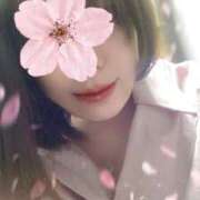 ヒメ日記 2026/04/04 17:26 投稿 ゆめか 桜フェアリーテイル