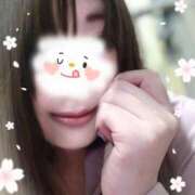 ヒメ日記 2026/04/28 16:06 投稿 ゆめか 桜フェアリーテイル