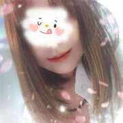ゆめか 春の陽気𖧷⁺.˖* 桜フェアリーテイル