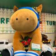 ヒメ日記 2025/12/19 22:19 投稿 あんじゅ でりどす