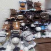 ヒメ日記 2026/02/24 11:52 投稿 うまる☆ガッツポーズ確定☆ アネキャンモード