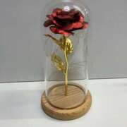 ヒメ日記 2025/05/25 00:36 投稿 ゆかり 浜松人妻なでしこ(カサブランカグループ)