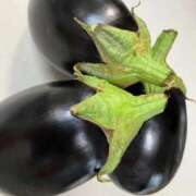 ゆかり なす料理 浜松人妻なでしこ(カサブランカグループ)