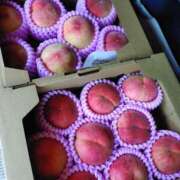 ヒメ日記 2025/07/24 15:37 投稿 すみれ 人妻熟女の秘密の関係伊勢崎店