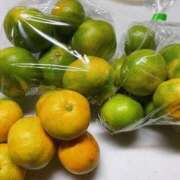 ヒメ日記 2025/10/09 10:10 投稿 ちひろ 妻みぐい