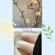 ちひろ 明日出勤いたします(*ˊᵕˋ*)੭ 妻みぐい