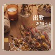 ヒメ日記 2025/06/02 09:50 投稿 ひまり 風俗の神様　浜松店