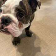 ヒメ日記 2025/09/20 13:41 投稿 らん フローラル