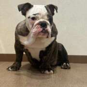 ヒメ日記 2025/09/21 20:27 投稿 らん フローラル