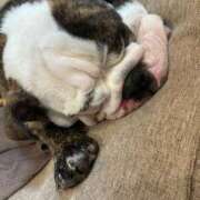 ヒメ日記 2025/09/23 15:21 投稿 らん フローラル